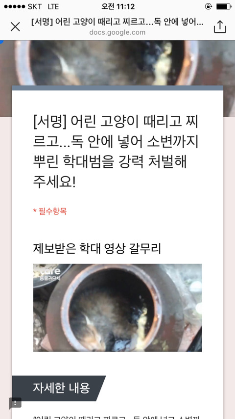 어린 고양이 때리고 찌르고 독 안에 넣어 소변 까지 뿌린 학대범을 강력 처벌 해주세요! #서명 운동# 제발 묻히지 않게 도와주세요! | 인스티즈