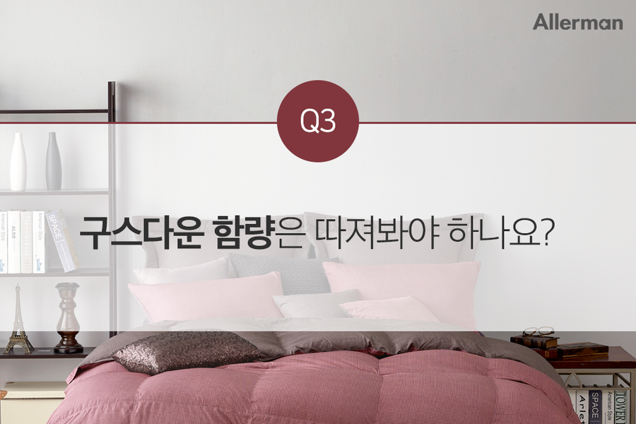 알레르망대전 이미지