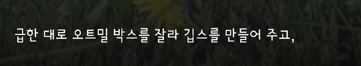 다리 다친 아기사슴을 구해주면 생기는 일.gif (데이터30MB) | 인스티즈