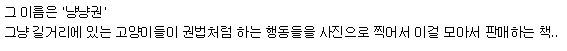 아마존에서 파는 냥아치 권법책 | 인스티즈