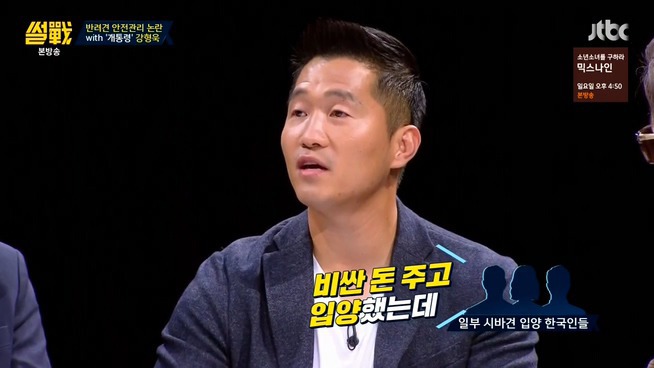 [썰전] 시바견 | 인스티즈