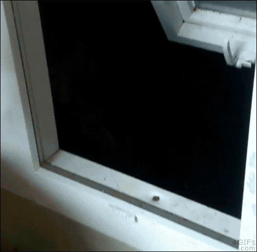 일본과 러시아의 차이.gif | 인스티즈