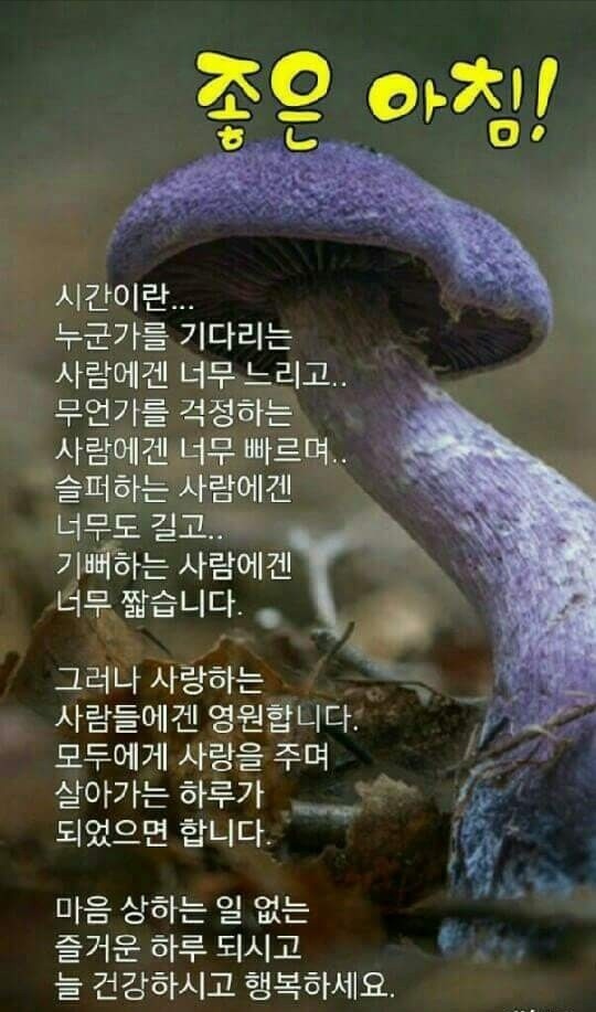 한주로 이미지