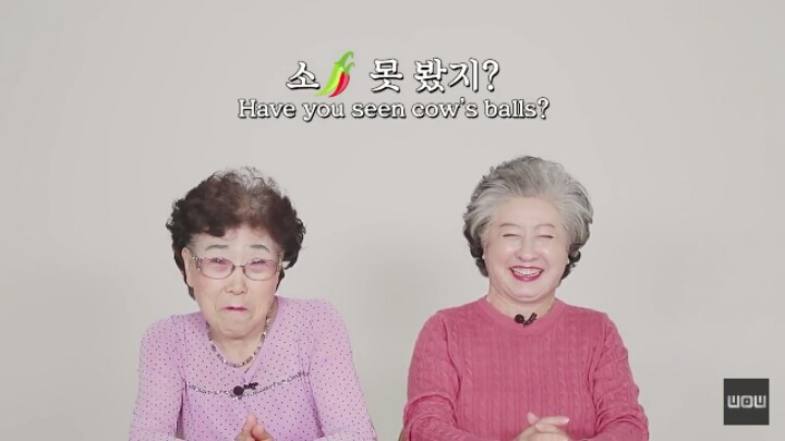 할아버지 할머니가 아이에게 섹스에 관해서 설명을 한다면? | 인스티즈