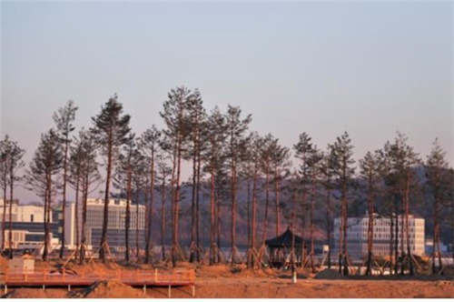 국립세종수목원 이미지