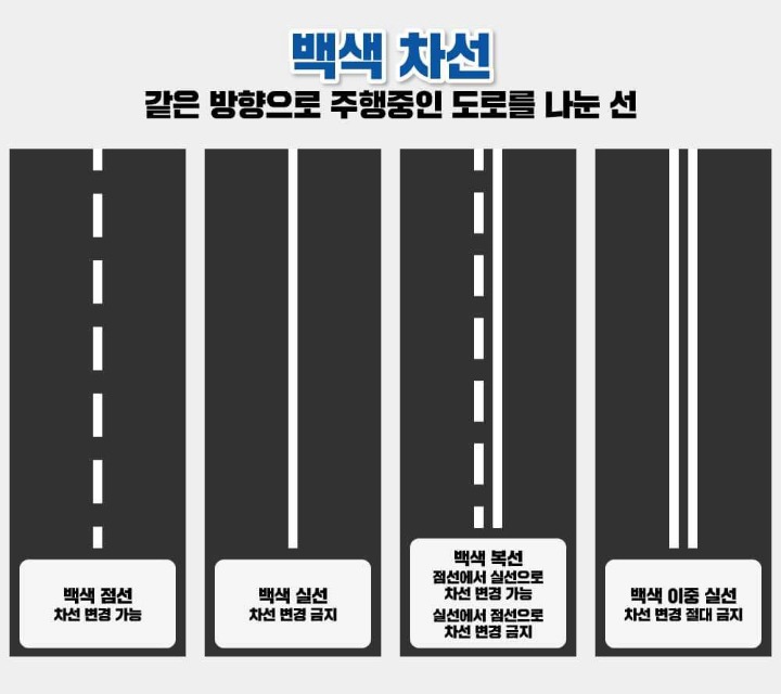 대한민국 차선종류 | 인스티즈