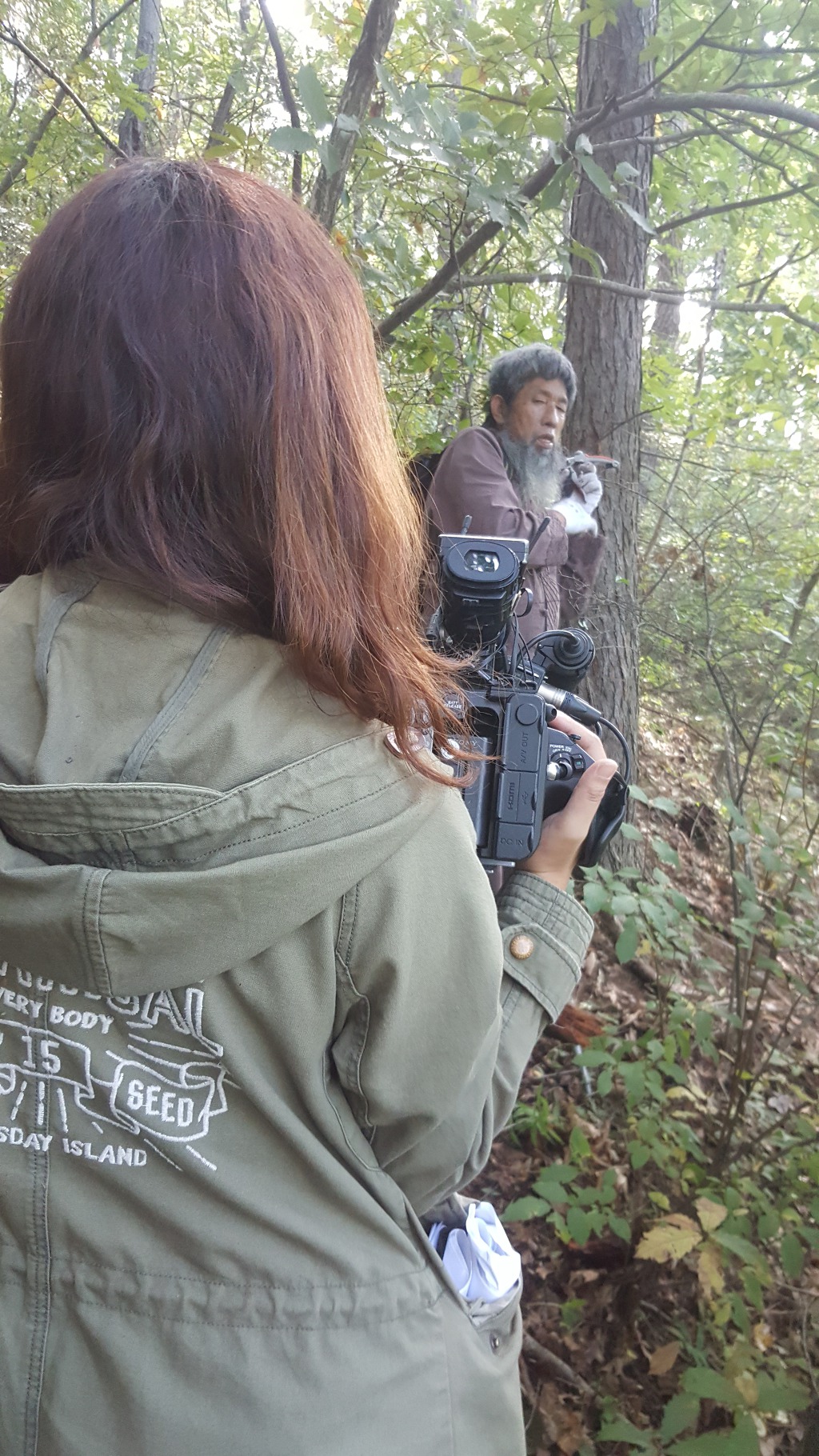 하수오홍삼 이미지