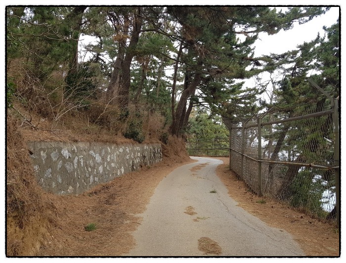 동해천곡파인앤유오션시티 이미지