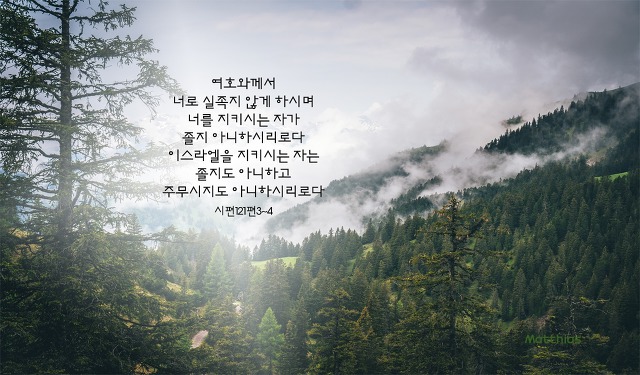 신천지예수교회 이미지