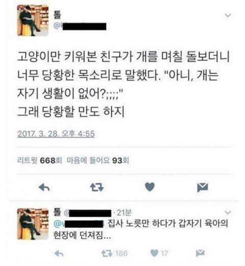 고양이만 키워본 친구에게 개를 맡겼다 | 인스티즈