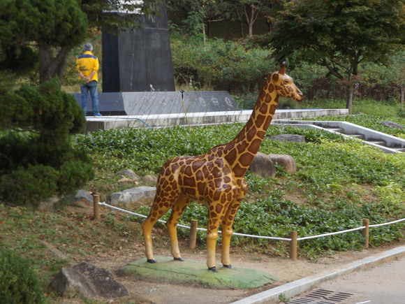 모모모 이미지