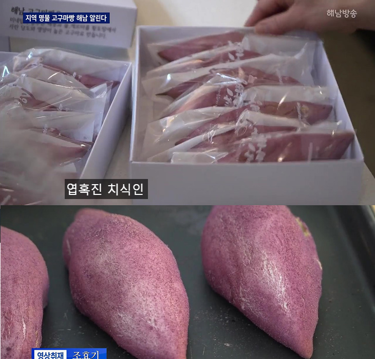 해남에서 파는 명물빵...jpg | 인스티즈