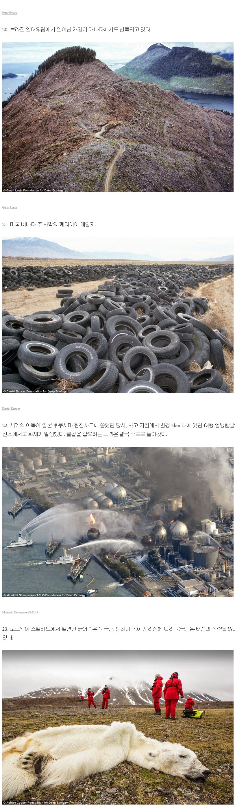 세계가 처한 위기 | 인스티즈