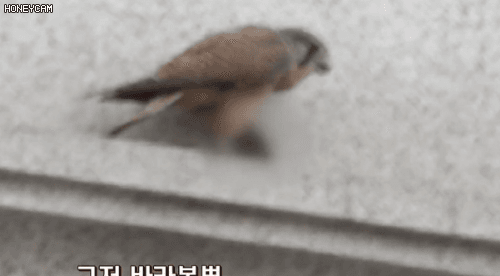 세상에 이런일이 방송사고 | 인스티즈