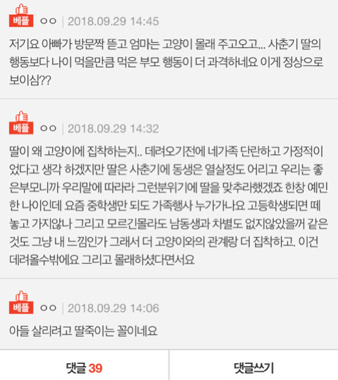 아이의 고양이를 어떻게 해야할까요.. | 인스티즈