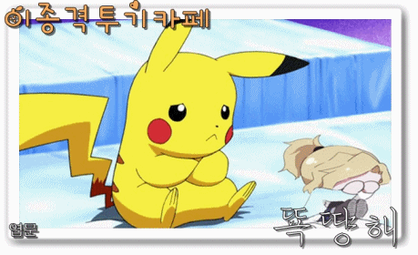 중국인들의 팬더 납치 | 인스티즈