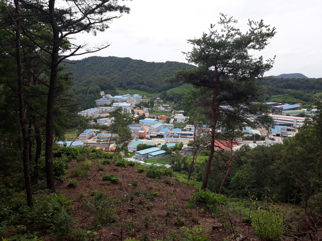 (주)상상방 이미지