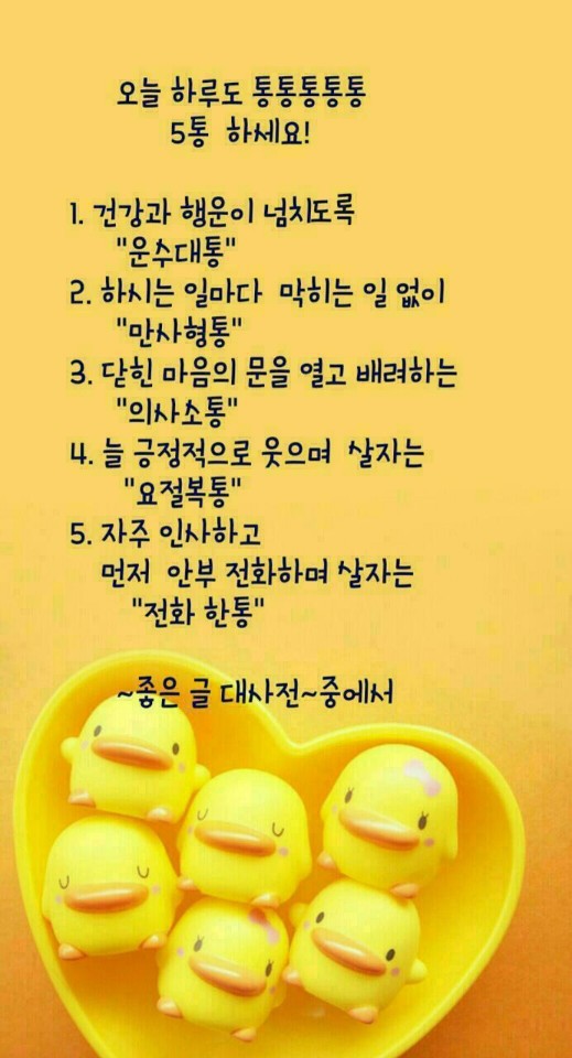 통통통 이미지