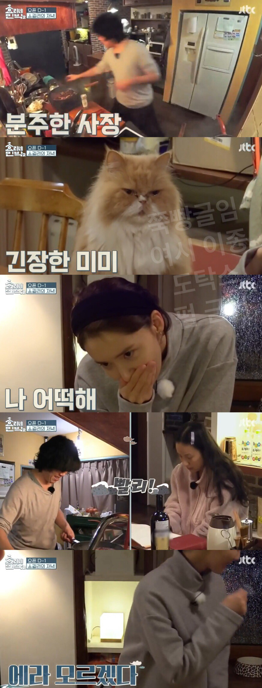 [효리네민박2] 회장님과 사장님 사이에서 갈등하는 알바생 윤아 | 인스티즈