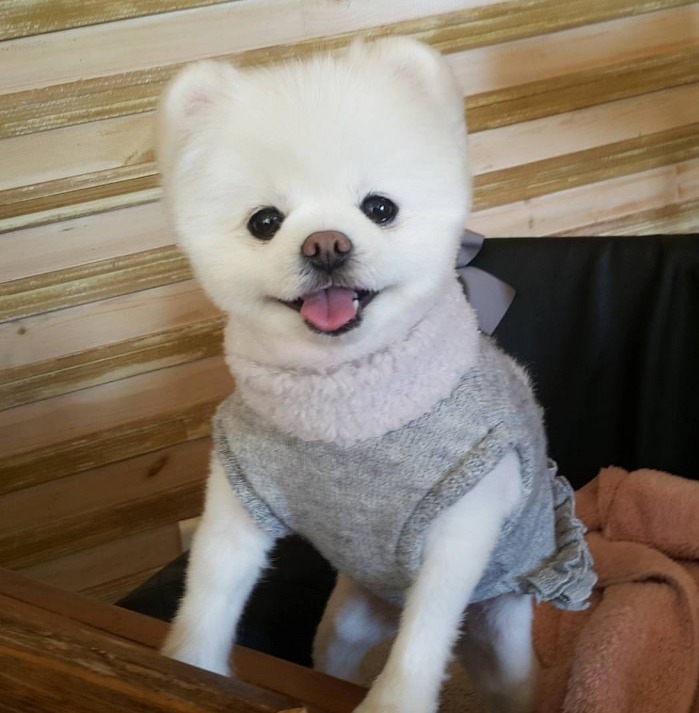 미국 의사들이 말하는 한의학 | 인스티즈