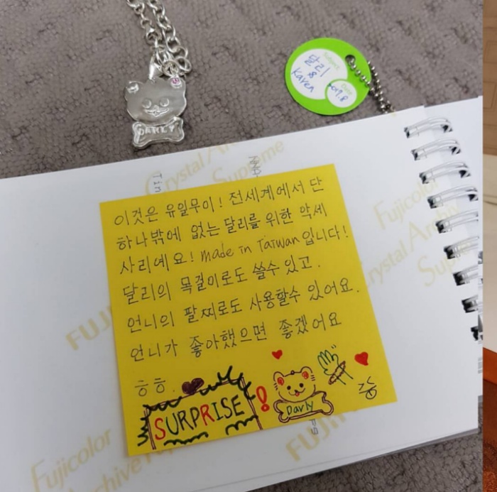 대만사람까지 꼬시고 다니는 한류 스타 강아지 달리 | 인스티즈
