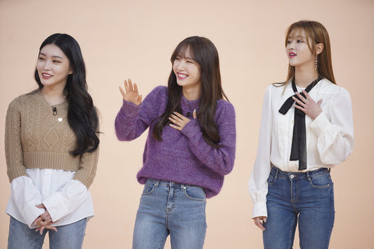 돼지띠 이미지