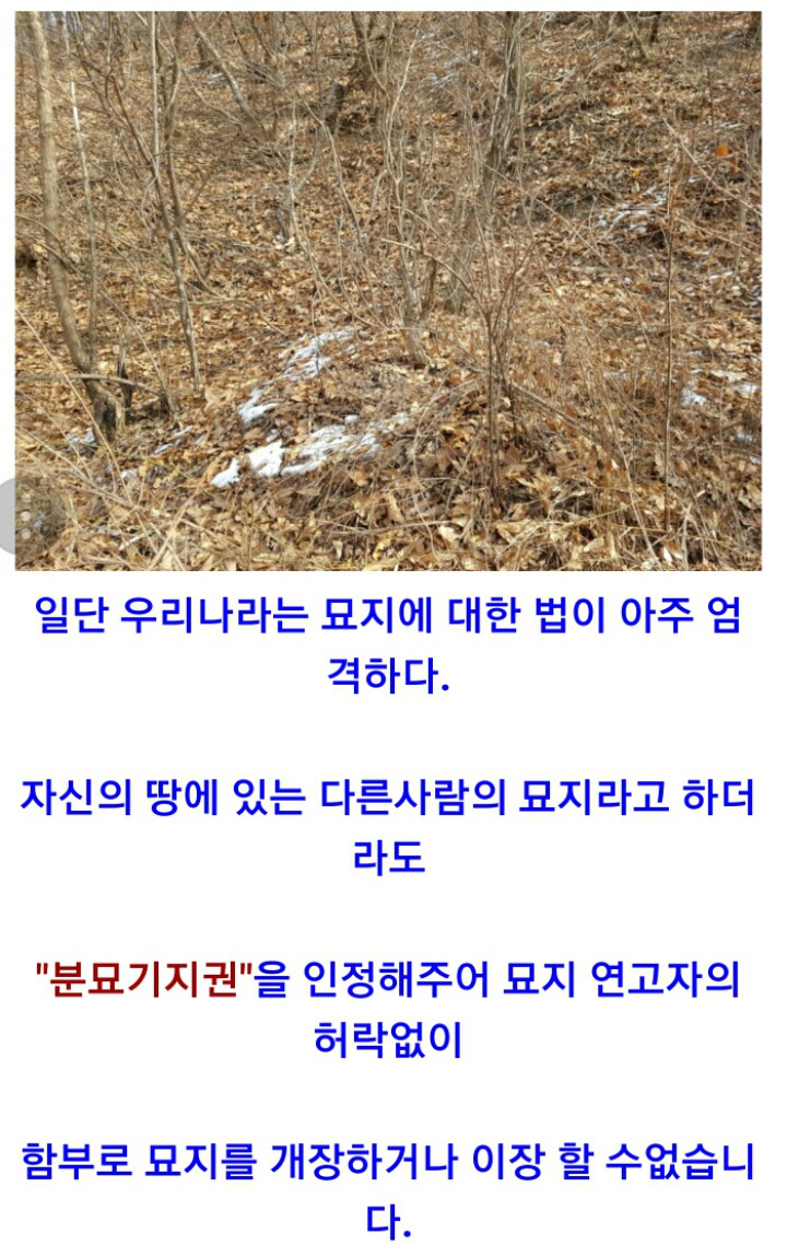 농촌 사람들이 묘지가 들어오는것을 안 반기는 이유 | 인스티즈