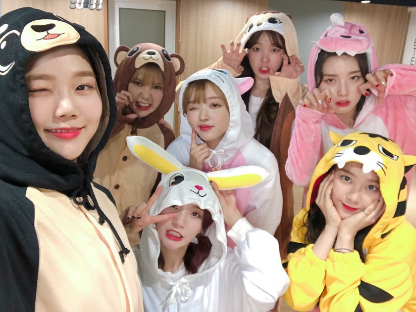 동물잠옷 오마이걸 (데이터 주의) | 인스티즈