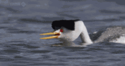 주변 이상없음,발진!! | 인스티즈