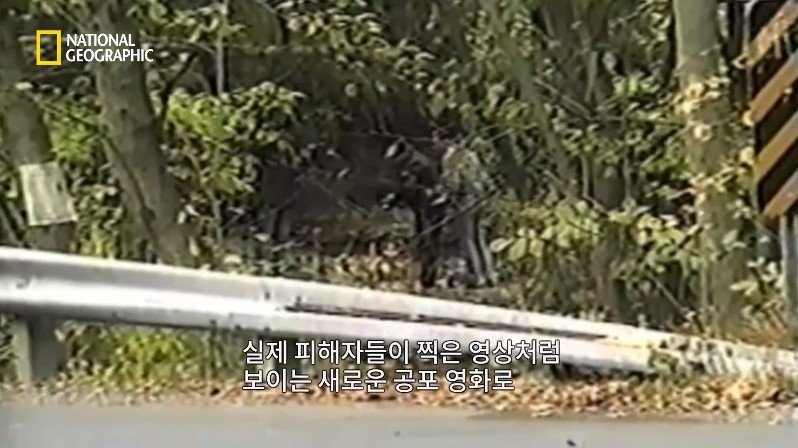 1999년, 새로운 장르의 공포영화가 인터넷을 통해 홍보되다 | 인스티즈