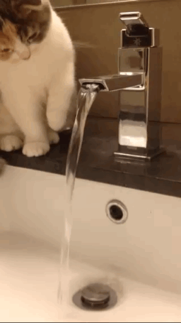 왜 물이 안 마셔지지...gif | 인스티즈