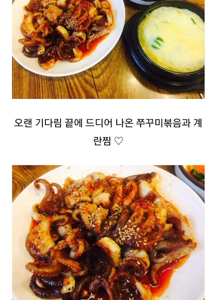 정원쭈꾸미 이미지