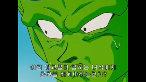 피콜로의 운전시험 | 인스티즈