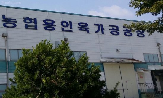 한국의 무서운 인육 문화 | 인스티즈