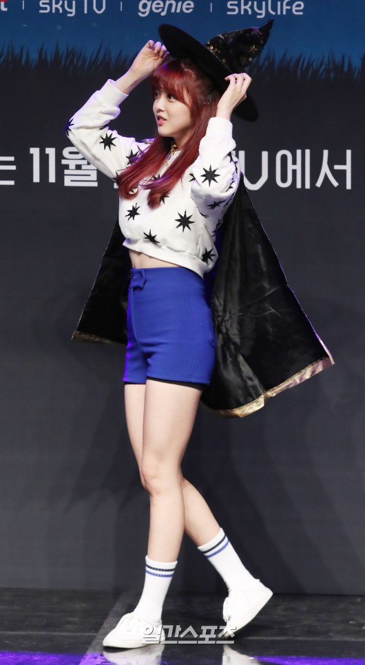 수연 이미지