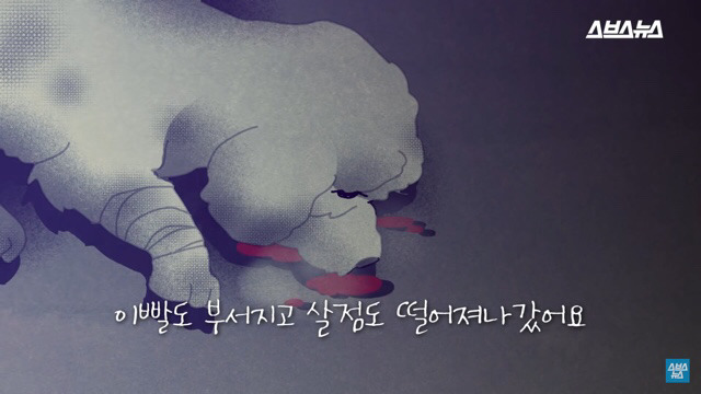  사람들이 홍대에서 인형을 뽑다 우는 이유는? | 인스티즈