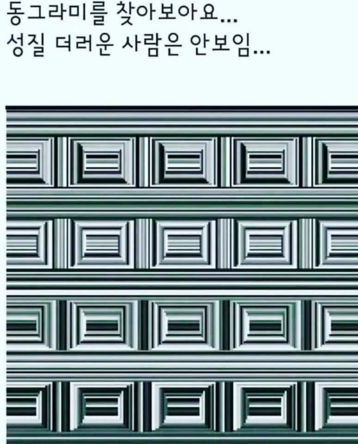 동그라미 이미지