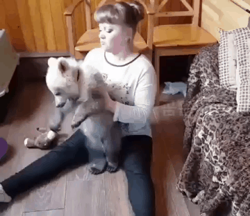집에서 키우는 곰.gif | 인스티즈