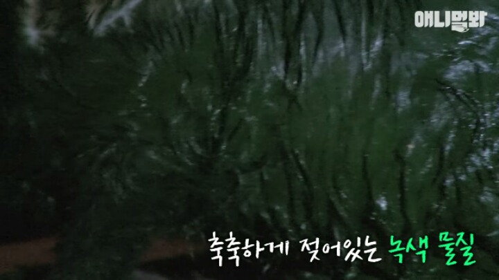 길고양이 학대하는 방법도 이젠 | 인스티즈