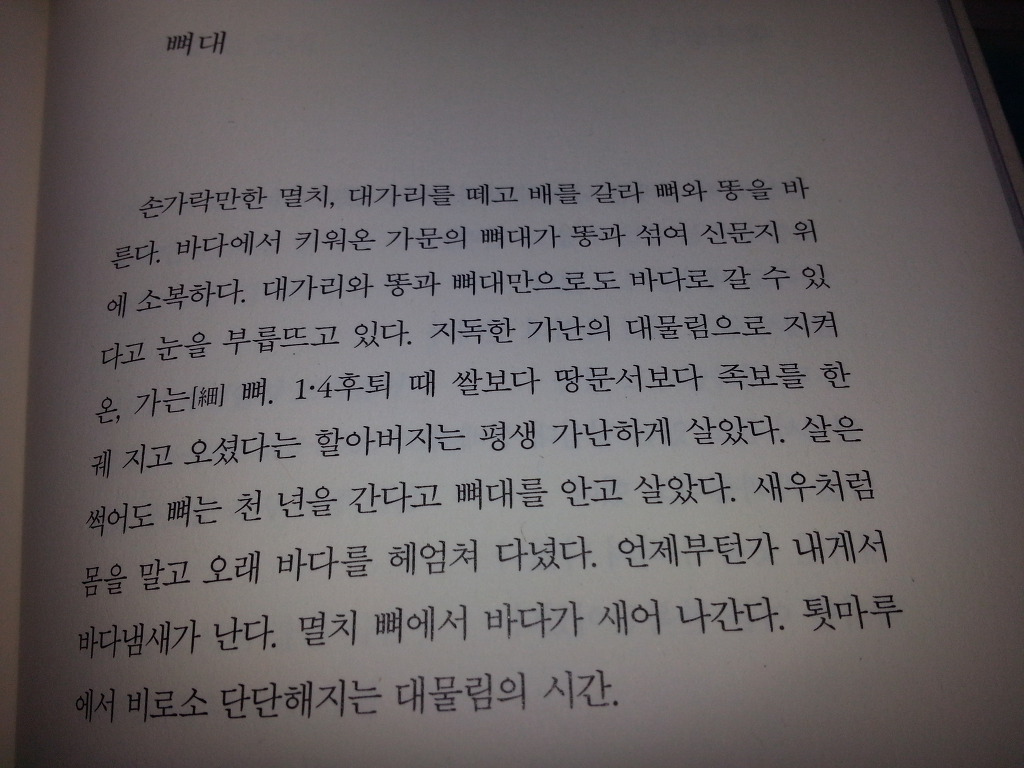 뼈대가 이미지