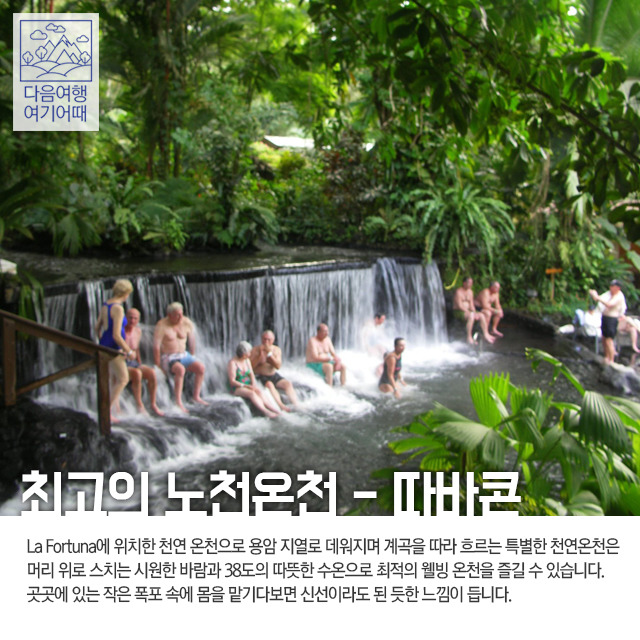 푸른아메리카투어 이미지
