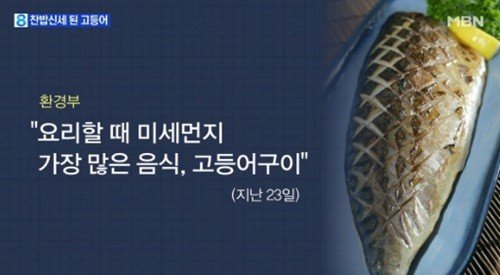 503 때 미세먼지 대책 | 인스티즈