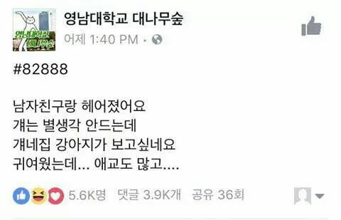 웃긴짤 모음집 | 인스티즈