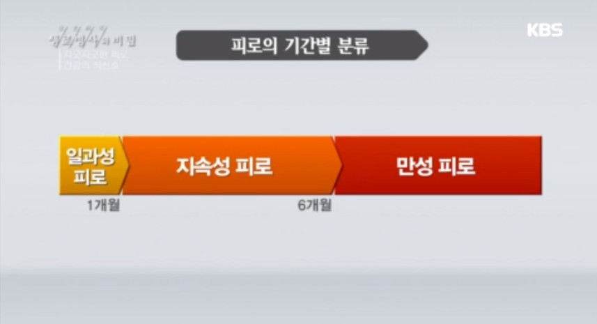 하루 17시간을 자는 22살 여자 대학생 | 인스티즈