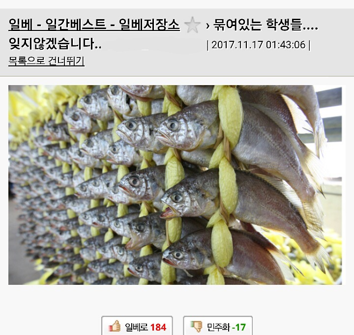 학생들 굴비에 비유하는 일베 | 인스티즈