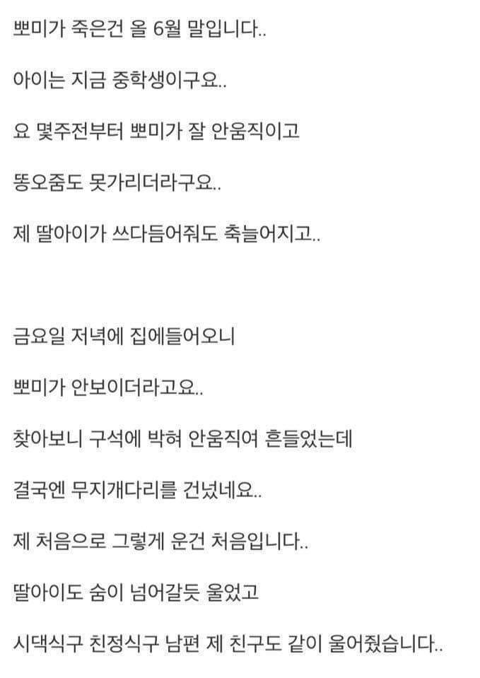 18년키운 강아지가 죽었는데 | 인스티즈