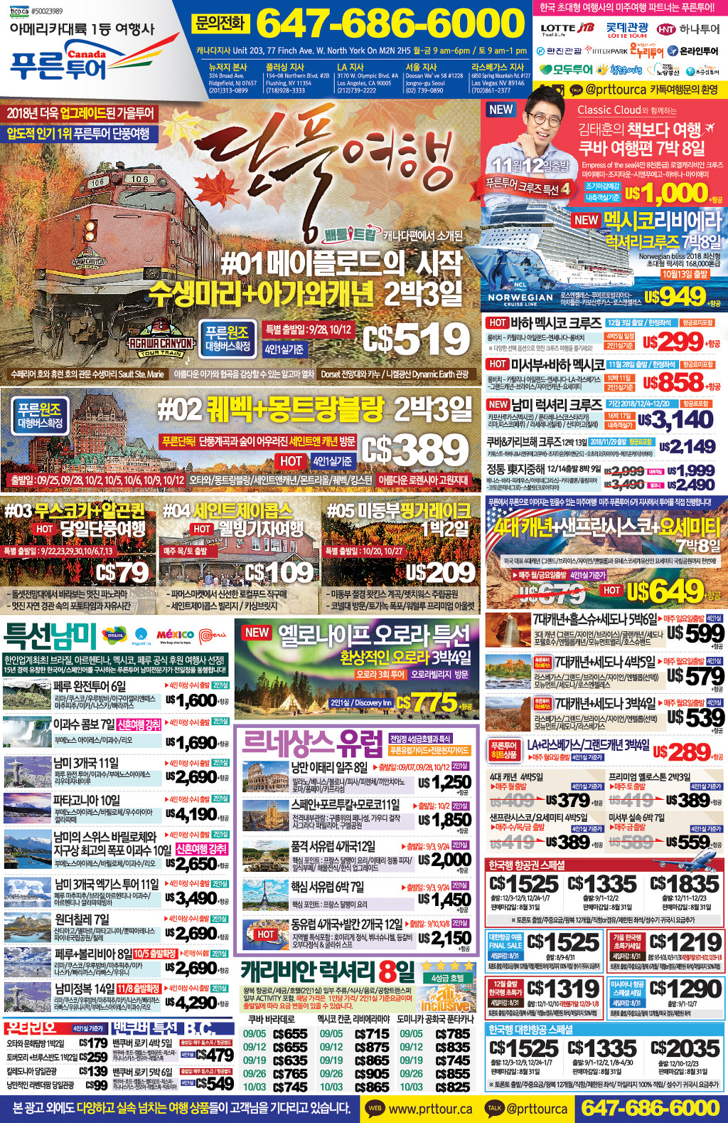 푸른아메리카투어 이미지