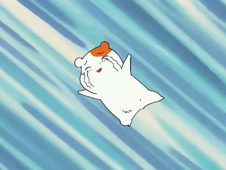카페.나눔 이미지
