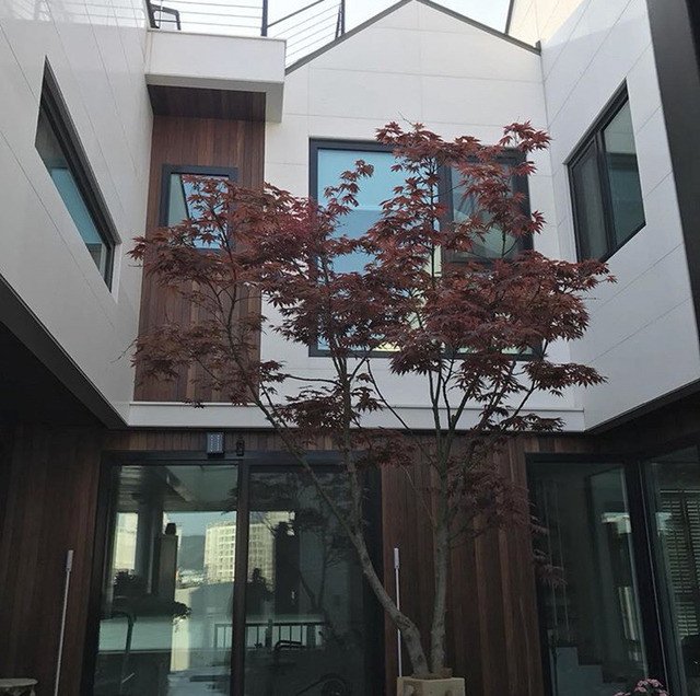 자신의 집 지하를 덕질의 공간으로 꾸민 성공한 덕후 | 인스티즈
