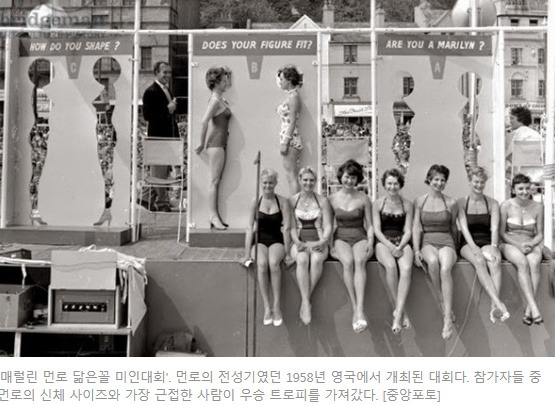 여성 부위별 미인대회 | 인스티즈